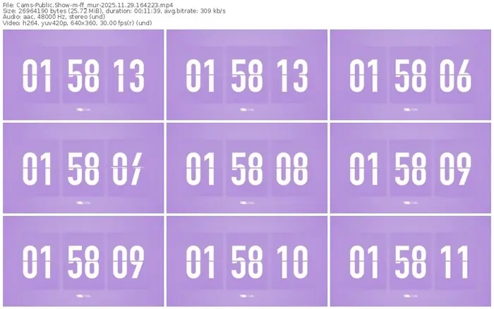 cams-ff_mur-11-29-2025-16-42-23