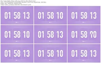 cams-ff_mur-11-29-2025-17-02-27