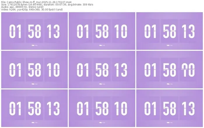 cams-ff_mur-11-29-2025-17-02-27