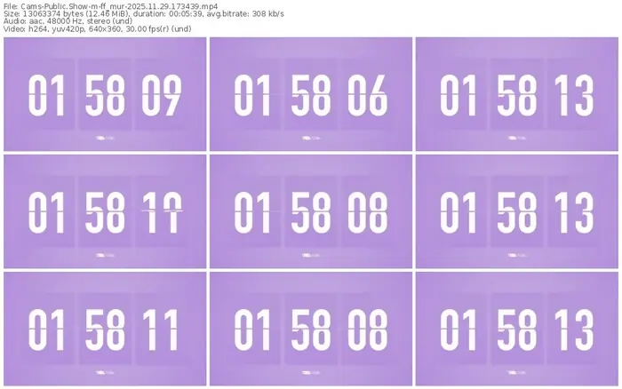 cams-ff_mur-11-29-2025-17-34-39