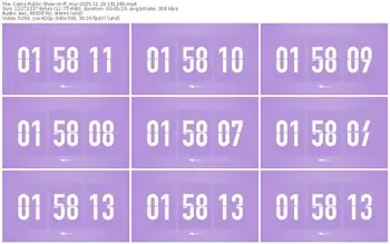 cams-ff_mur-11-29-2025-18-13-45