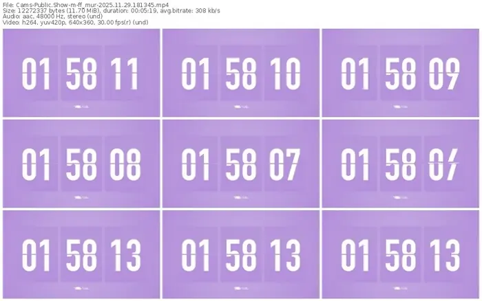 cams-ff_mur-11-29-2025-18-13-45