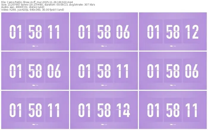 cams-ff_mur-11-29-2025-18-19-22