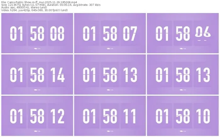 cams-ff_mur-11-29-2025-18-50-08
