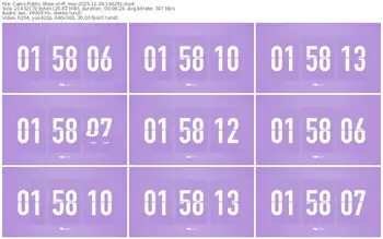 cams-ff_mur-11-29-2025-19-02-51