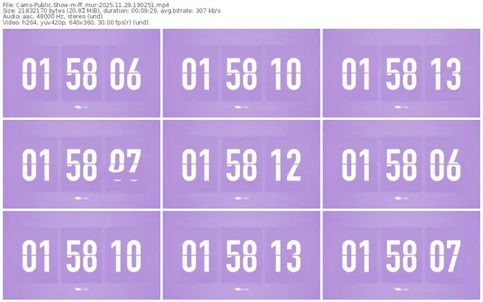 cams-ff_mur-11-29-2025-19-02-51