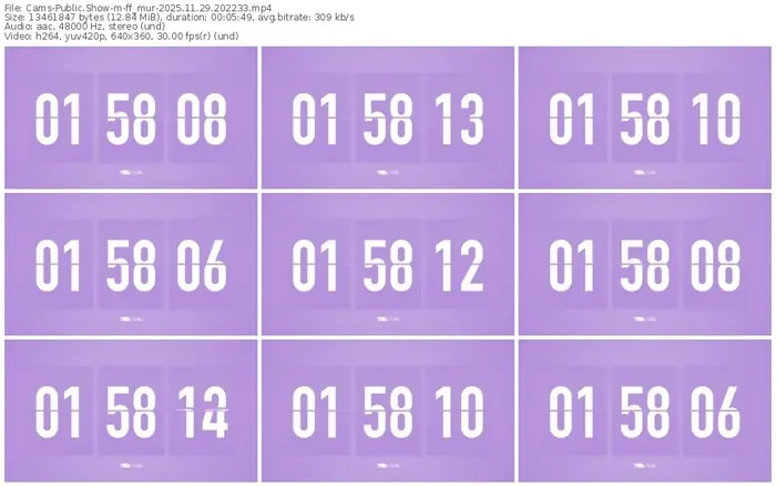 cams-ff_mur-11-29-2025-20-22-33