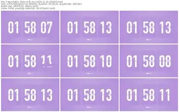 cams-ff_mur-11-29-2025-20-39-13