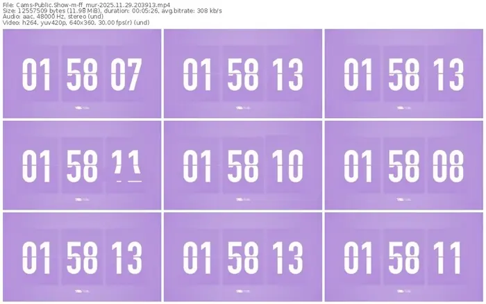cams-ff_mur-11-29-2025-20-39-13
