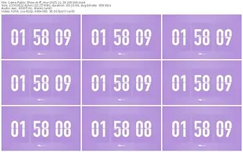 cams-ff_mur-11-29-2025-20-53-06