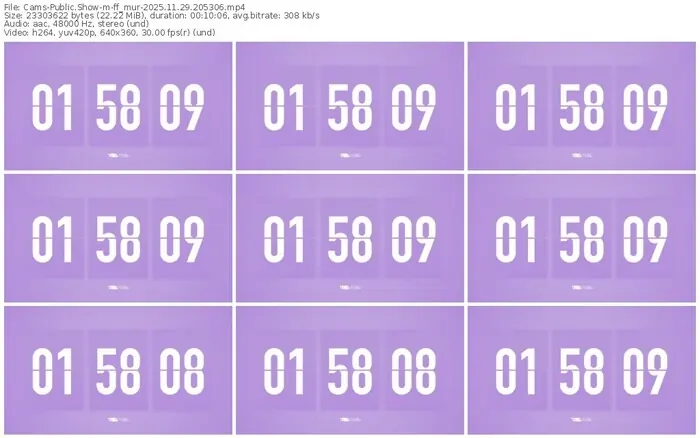 cams-ff_mur-11-29-2025-20-53-06