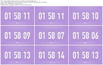 cams-ff_mur-11-29-2025-21-14-58