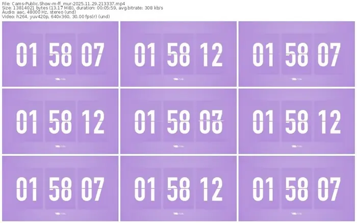 cams-ff_mur-11-29-2025-21-33-37