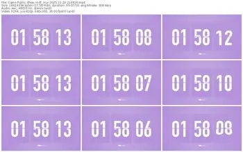 cams-ff_mur-11-29-2025-21-44-14