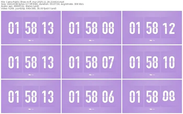 cams-ff_mur-11-29-2025-21-44-14