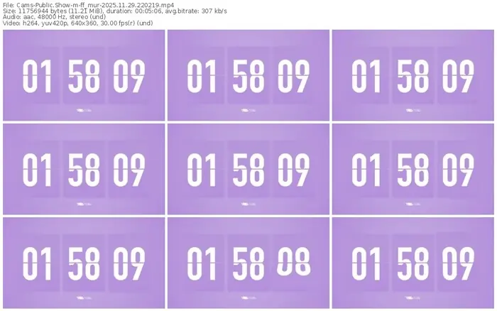 cams-ff_mur-11-29-2025-22-02-19