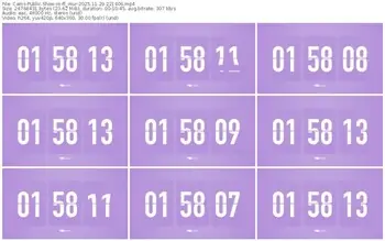 cams-ff_mur-11-29-2025-22-14-06