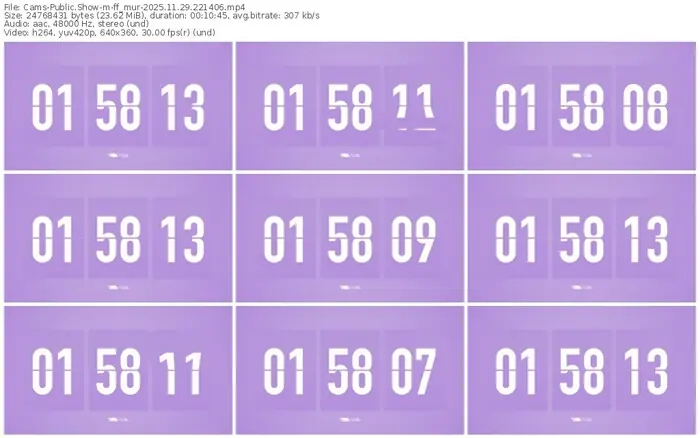 cams-ff_mur-11-29-2025-22-14-06