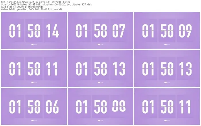 cams-ff_mur-11-29-2025-22-31-11