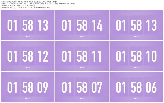 cams-ff_mur-11-29-2025-23-03-57