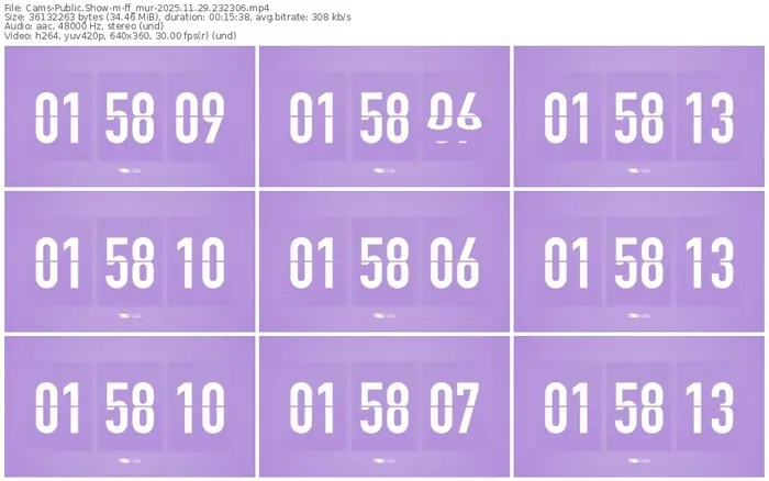 cams-ff_mur-11-29-2025-23-23-06