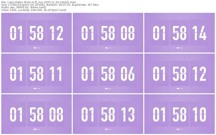 cams-ff_mur-11-29-2025-23-49-21