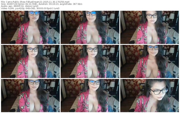 cams-bluedream21-11-30-2025-17-02-59