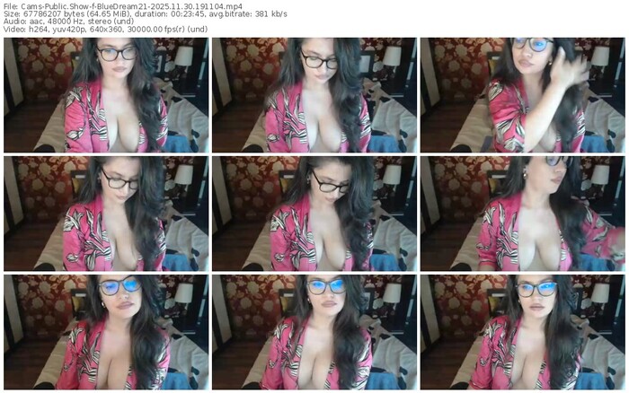 cams-bluedream21-11-30-2025-19-11-04