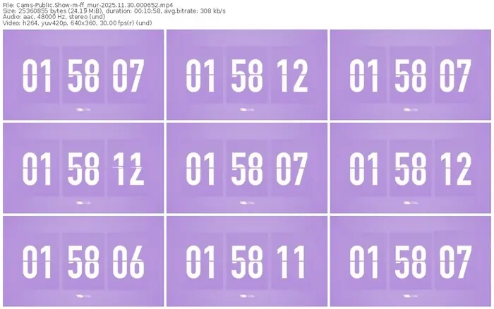 cams-ff_mur-11-30-2025-00-06-52