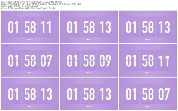 cams-ff_mur-11-30-2025-00-47-34