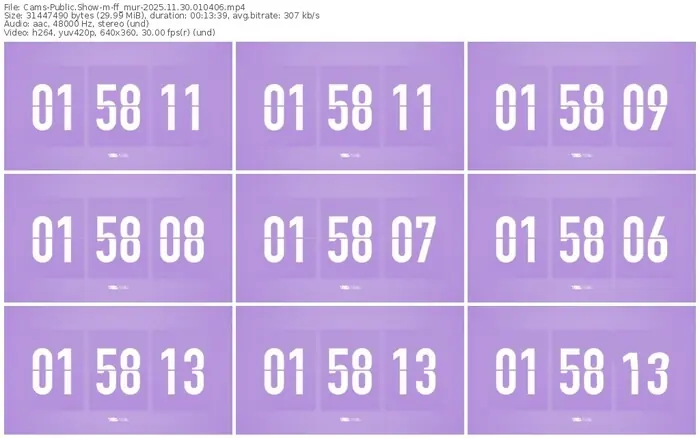 cams-ff_mur-11-30-2025-01-04-06