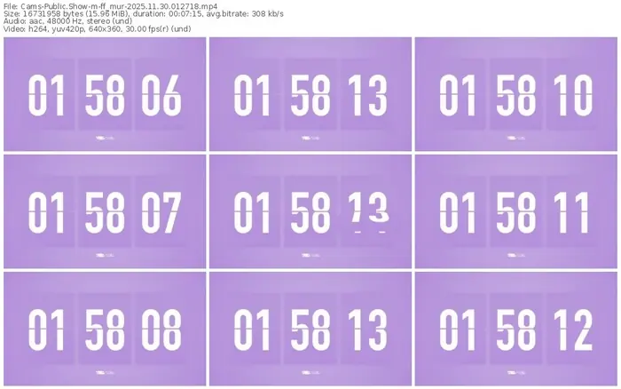 cams-ff_mur-11-30-2025-01-27-18