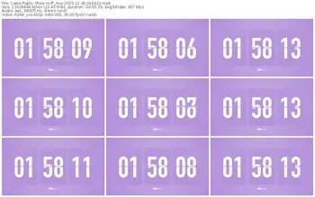 cams-ff_mur-11-30-2025-01-43-23