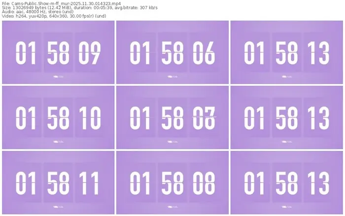 cams-ff_mur-11-30-2025-01-43-23