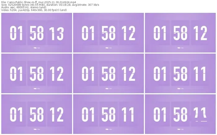 cams-ff_mur-11-30-2025-01-49-24