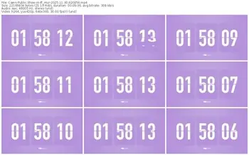 cams-ff_mur-11-30-2025-02-08-56