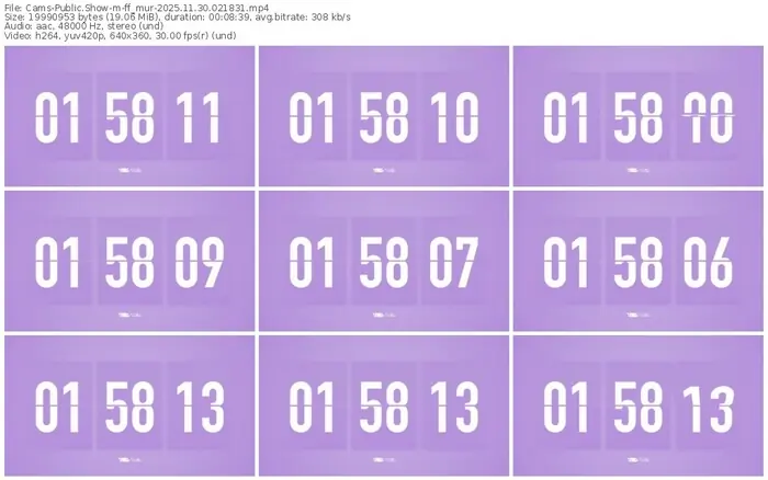 cams-ff_mur-11-30-2025-02-18-31