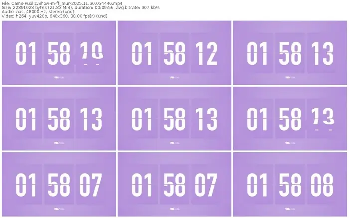 cams-ff_mur-11-30-2025-03-44-46