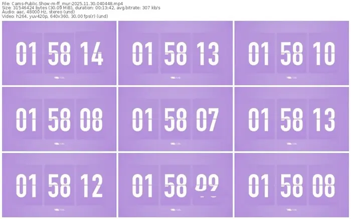 cams-ff_mur-11-30-2025-04-04-48