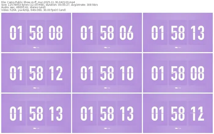 cams-ff_mur-11-30-2025-04-21-03