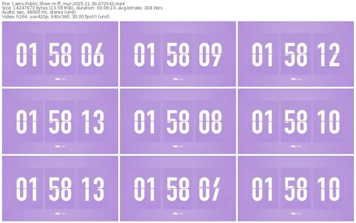 cams-ff_mur-11-30-2025-07-25-42