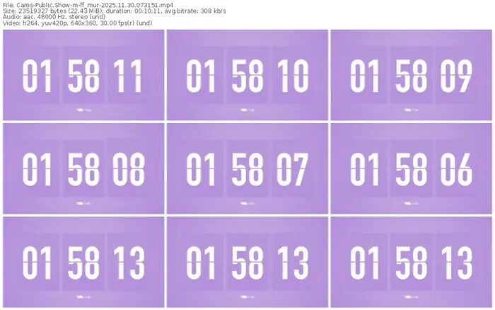 cams-ff_mur-11-30-2025-07-31-51