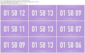 cams-ff_mur-11-30-2025-08-17-09