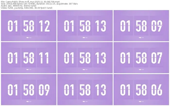 cams-ff_mur-11-30-2025-08-17-09