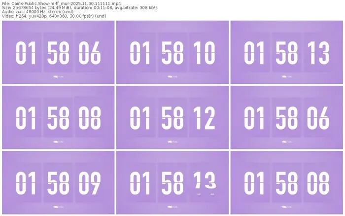 cams-ff_mur-11-30-2025-11-11-11