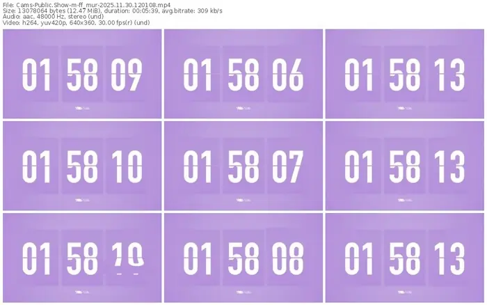 cams-ff_mur-11-30-2025-12-01-08