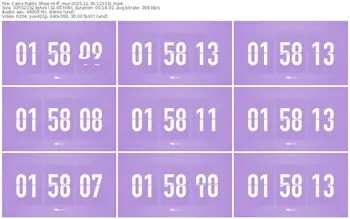 cams-ff_mur-11-30-2025-12-33-31