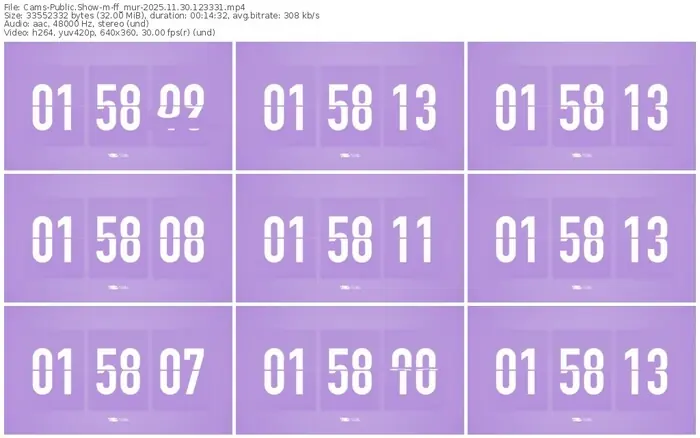 cams-ff_mur-11-30-2025-12-33-31