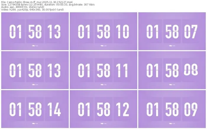 cams-ff_mur-11-30-2025-15-21-27