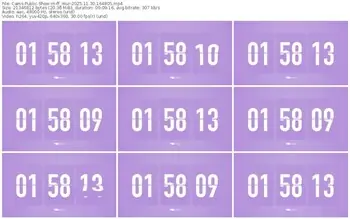 cams-ff_mur-11-30-2025-16-48-05